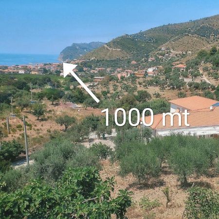 Tenuta Marga Agnone Cilento Екстер'єр фото